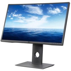 Dell Professional P2417H IPS